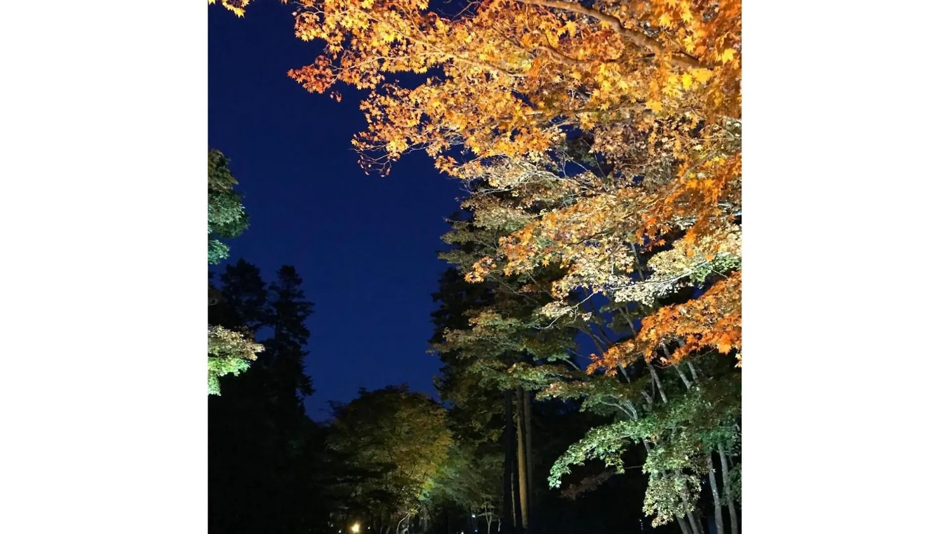 Hotel Tetora Yunokawaonsen - Vacation Stay 30606V Хакодате